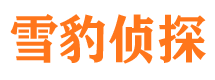 当阳找人公司